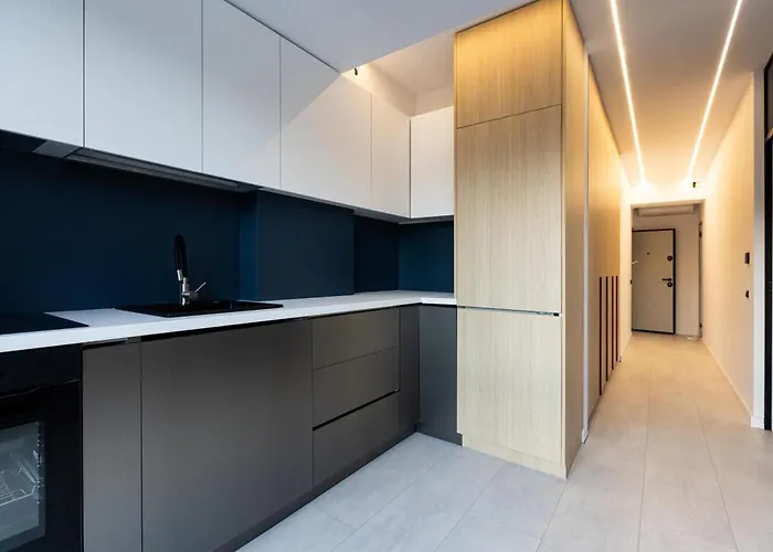 Alecsandri - Near Old Town - Private Parking Krajowa